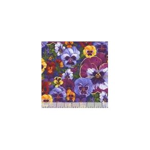 Pansy Prose Periwinkle