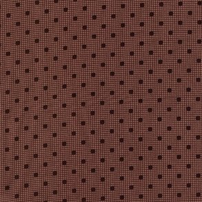 Shelbyville af Jo Morton