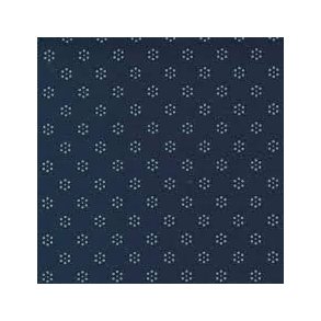 Regency Sommerset Blues af Christopher Wilson Tate