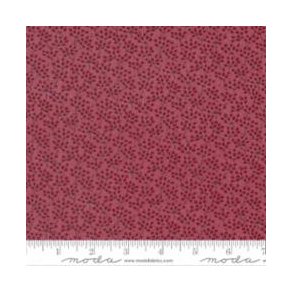 Garden af Primitive Gatherings