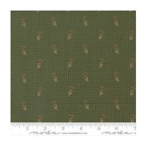 Garden af Primitive Gatherings