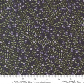 Wild Iris af Holly Taylor