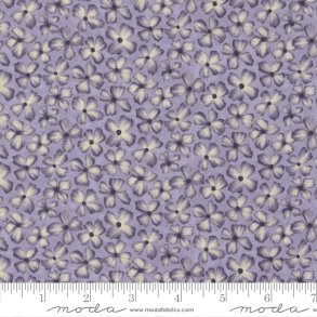 Wild Iris af Holly Taylor