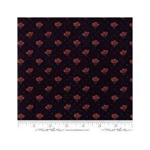 Oh Meadowlark Pond af Kansas Troubles