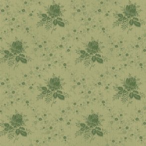 American Beauty Trellis Rose 