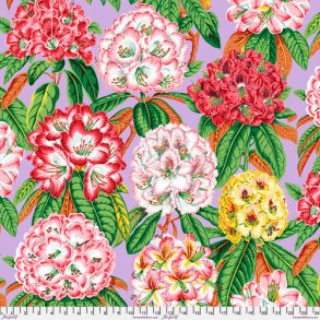 Rhodedendron, Lavender by Kaffe Fassett
