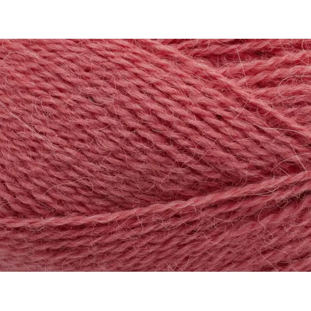 Indecita / Vilja - Madeira Rose