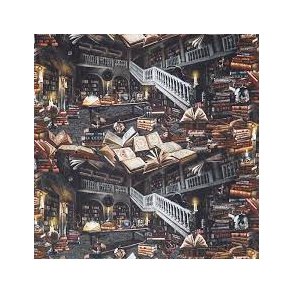 Mystic Library Magic Magic Library