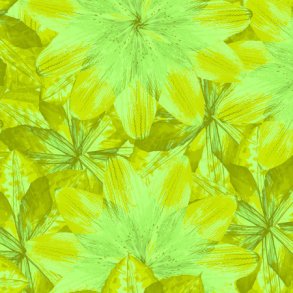 Pressed Floral, Kaleidoscope Floral