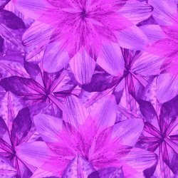 Pressed Floral, Kaleidoscope Floral