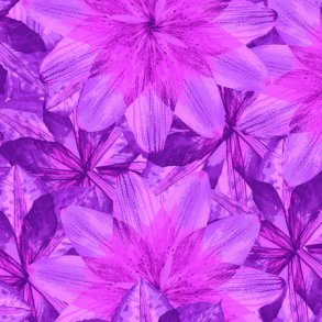 Pressed Floral, Kaleidoscope Floral