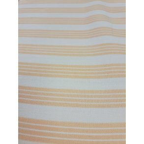 A Day in The Country